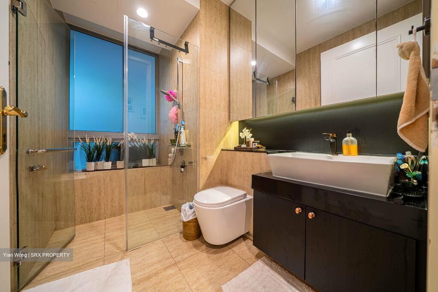 Breeze By The East (D16), Condominium #521354241
